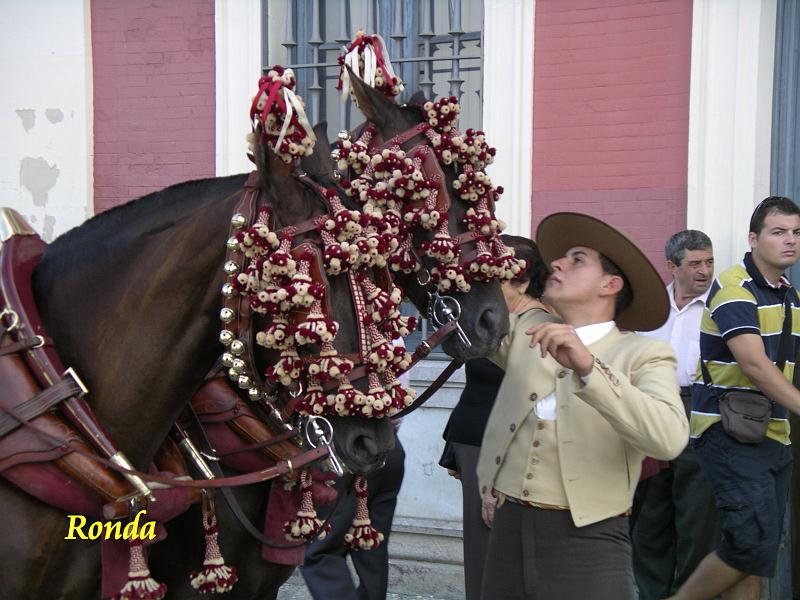Andalusie 2008 177.jpg
